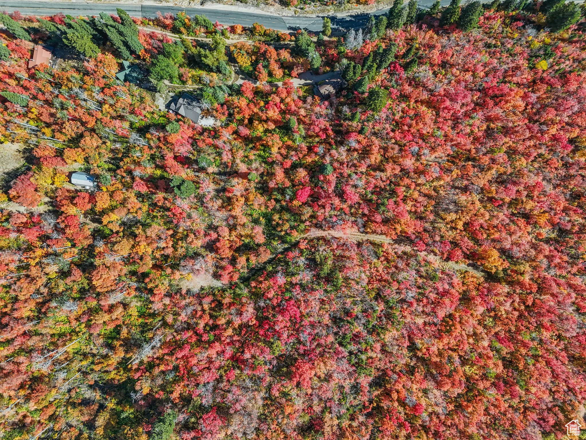 Midway, Utah 84049, United States, ,Land,Active,51381