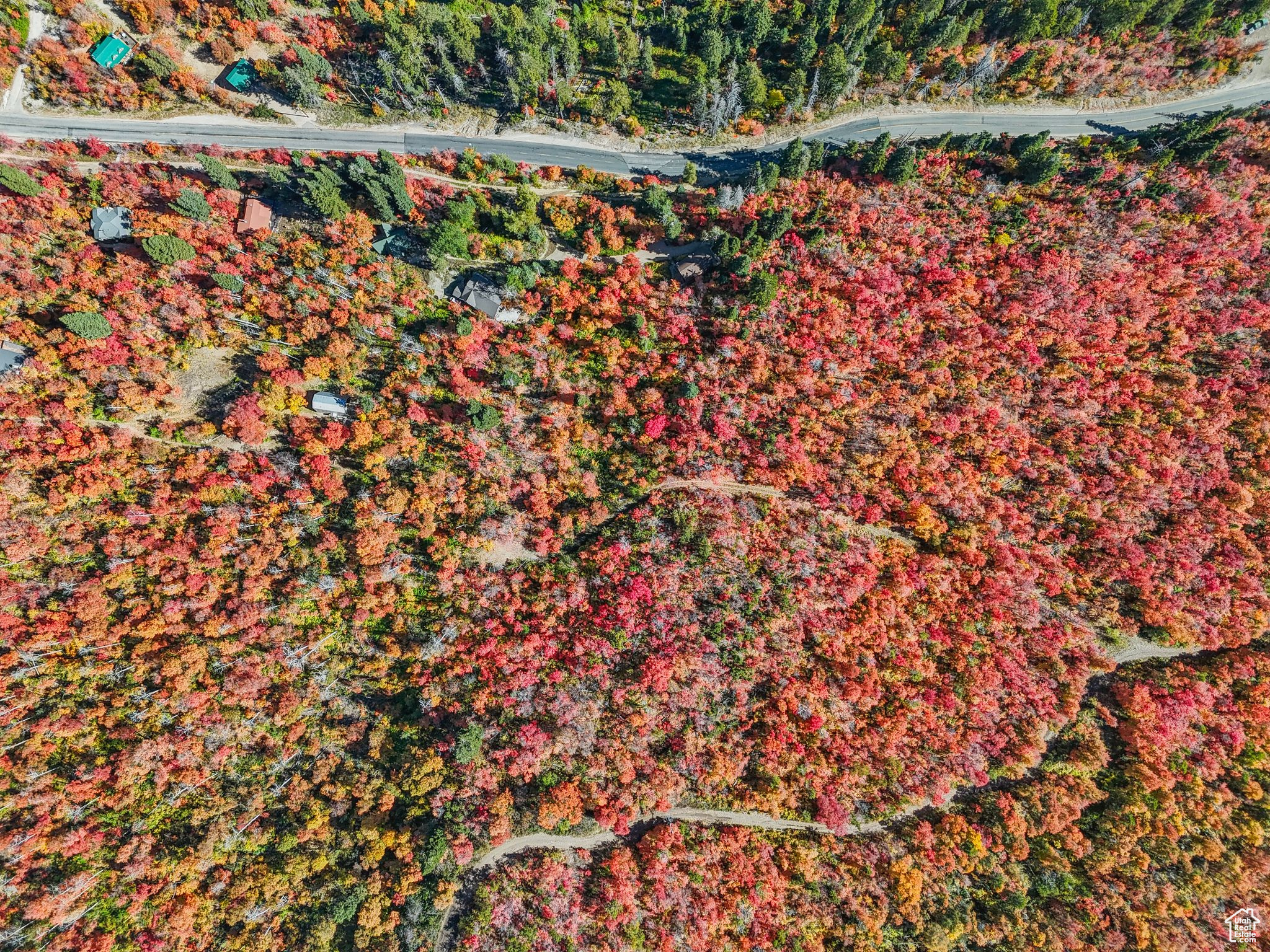 Midway, Utah 84049, United States, ,Land,Active,51381