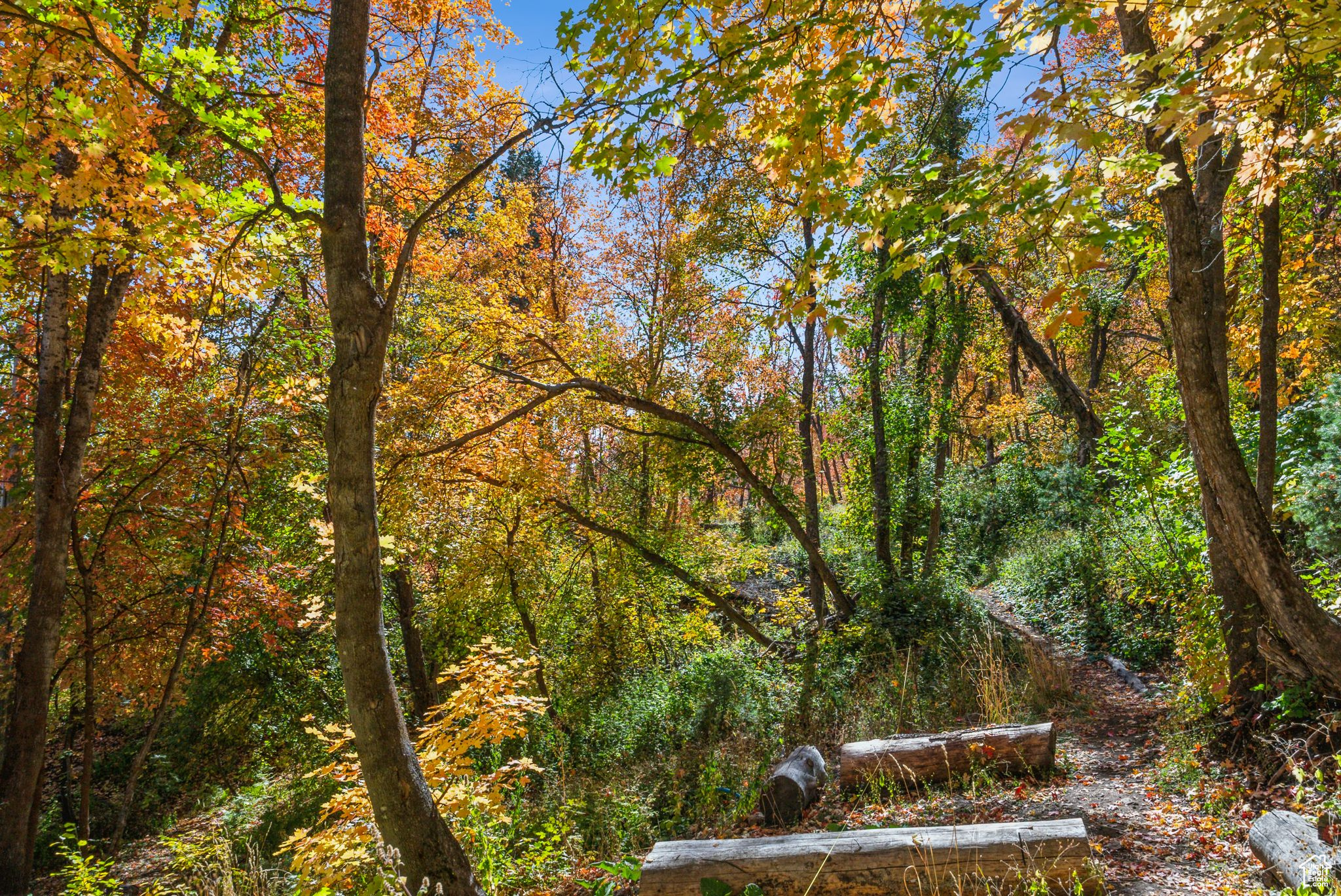 Midway, Utah 84049, United States, ,Land,Active,51381