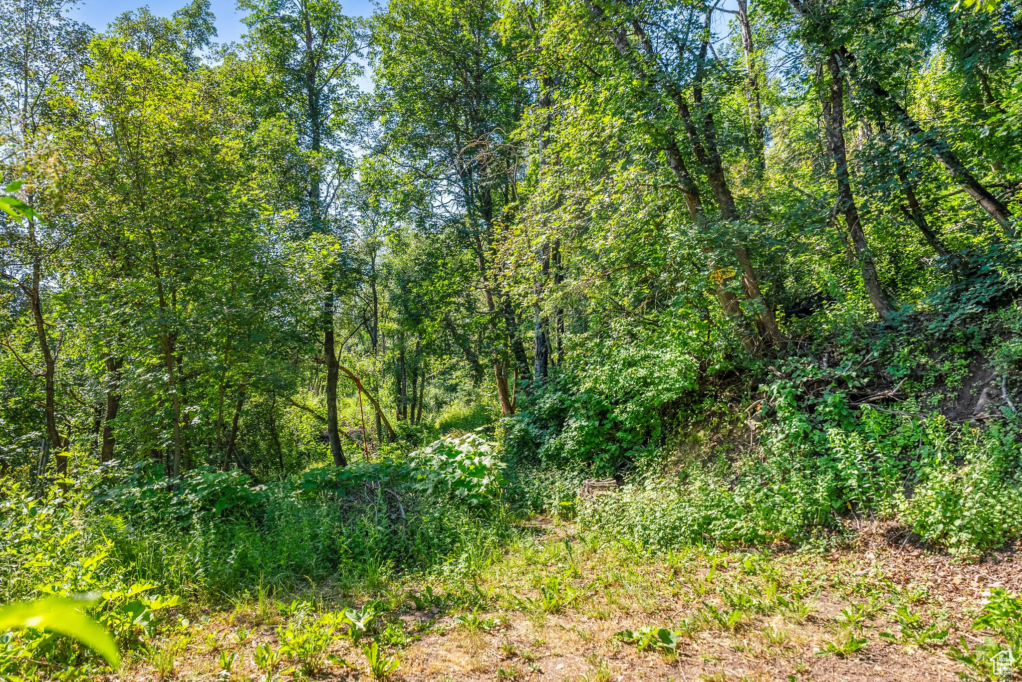 Midway, Utah 84049, United States, ,Land,Active,51381