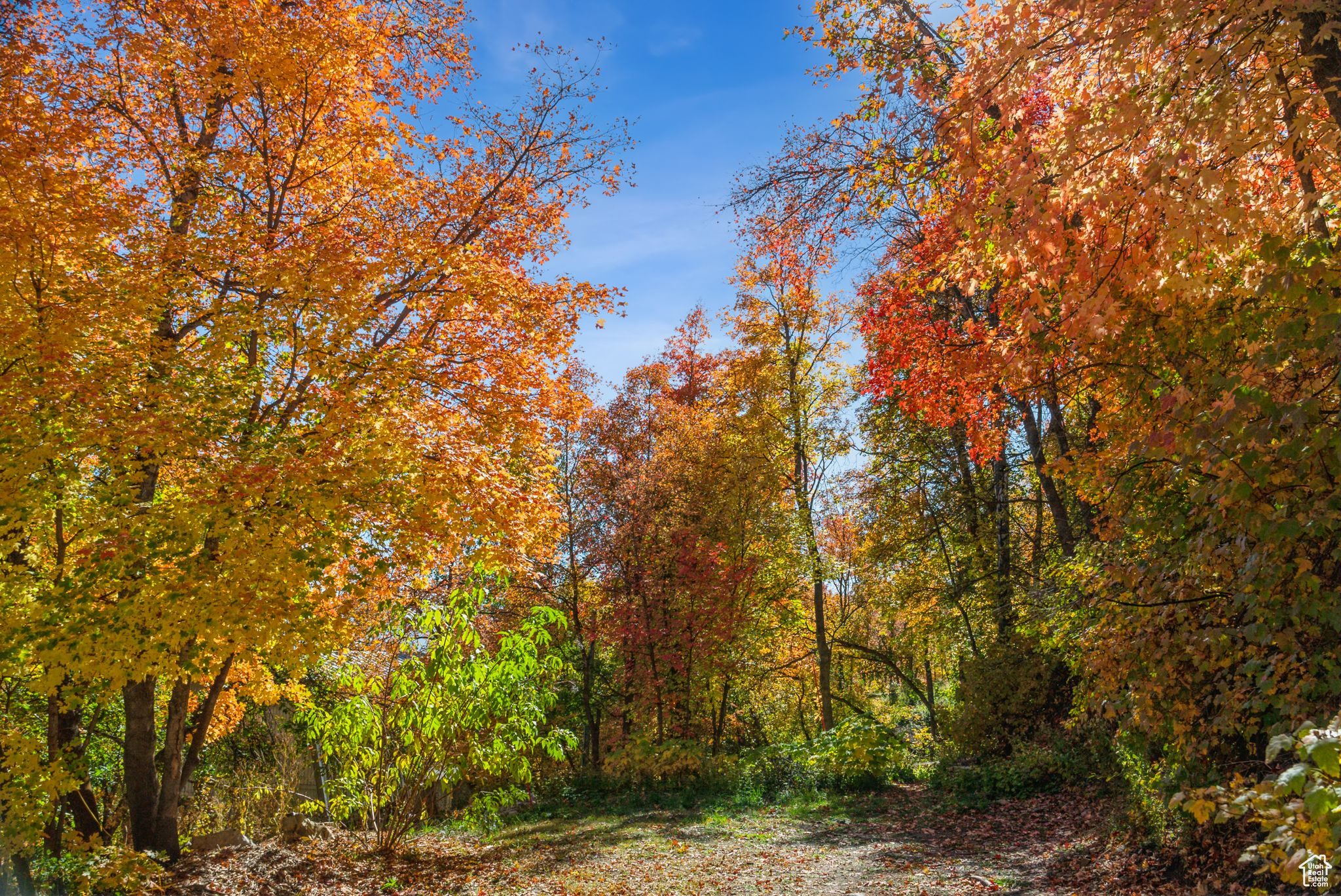 Midway, Utah 84049, United States, ,Land,Active,51381