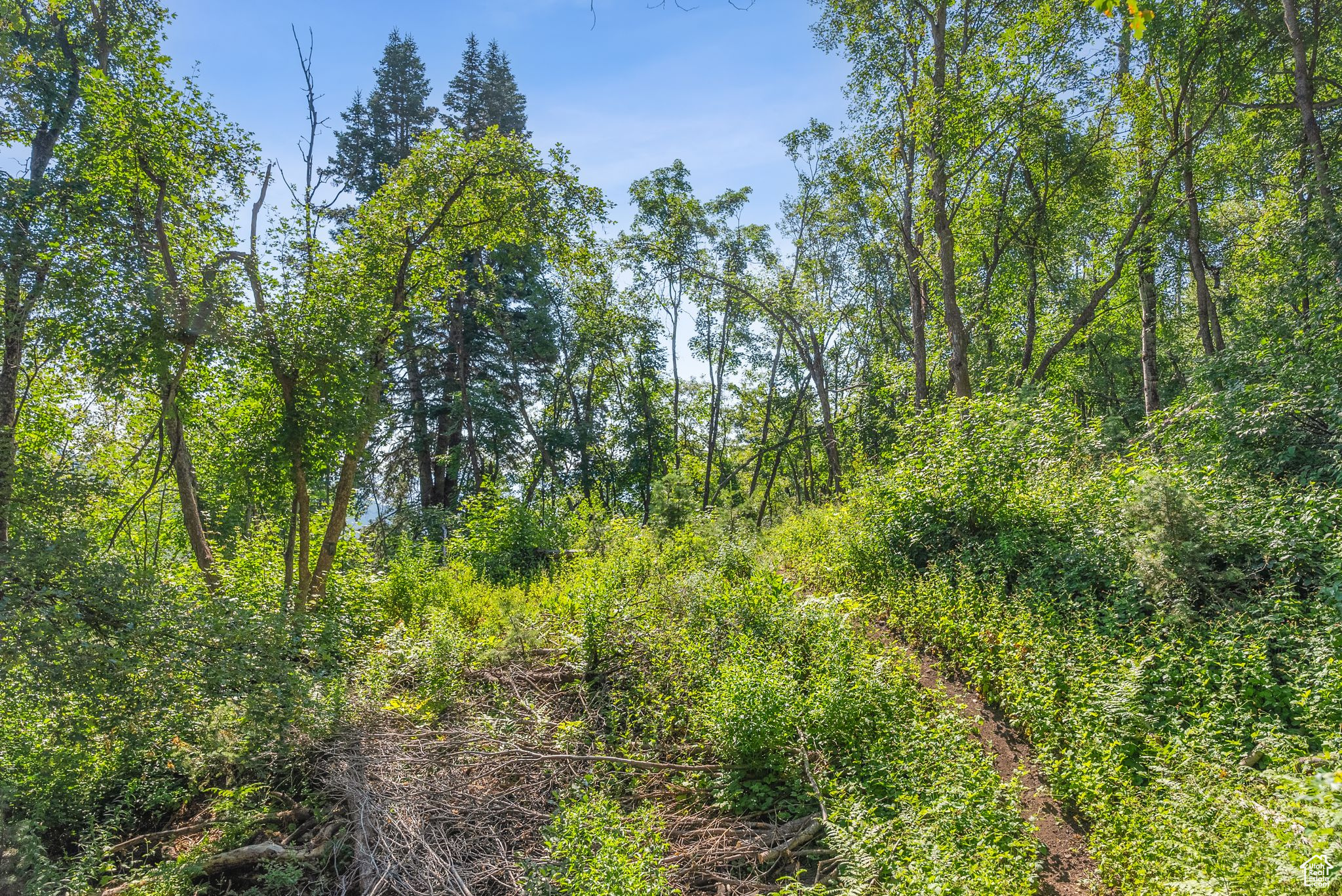 Midway, Utah 84049, United States, ,Land,Active,51381