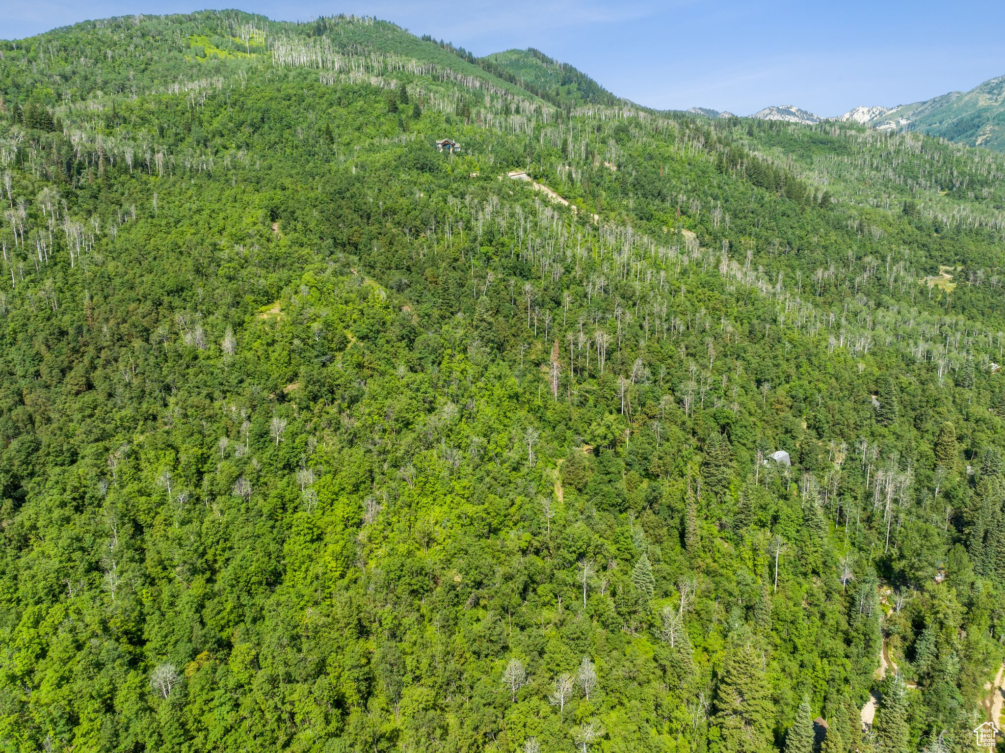 Midway, Utah 84049, United States, ,Land,Active,51381