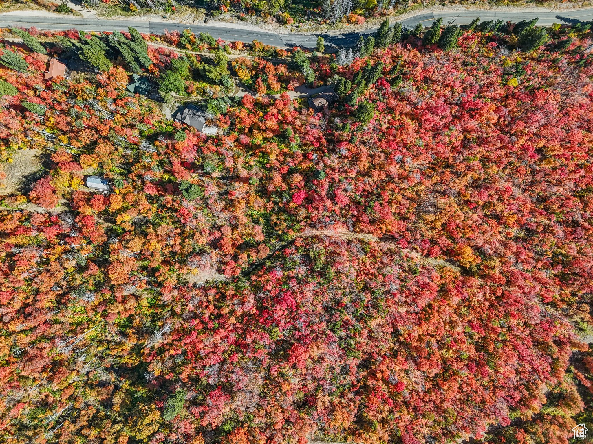 Midway, Utah 84049, United States, ,Land,Active,51381