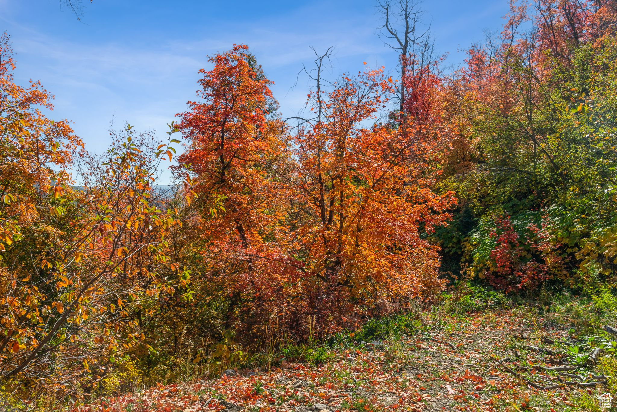 Midway, Utah 84049, United States, ,Land,Active,51381