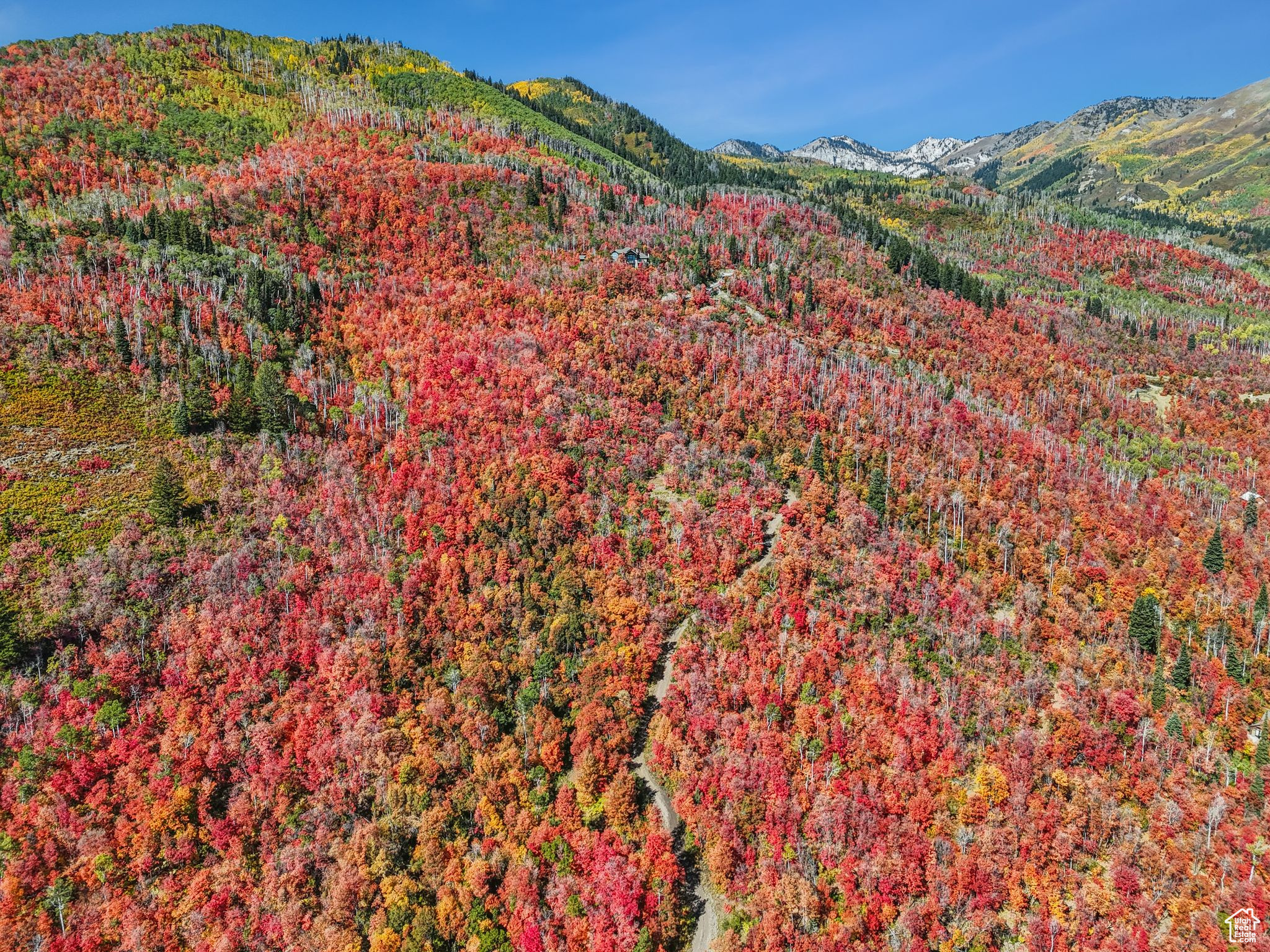 Midway, Utah 84049, United States, ,Land,Active,51381