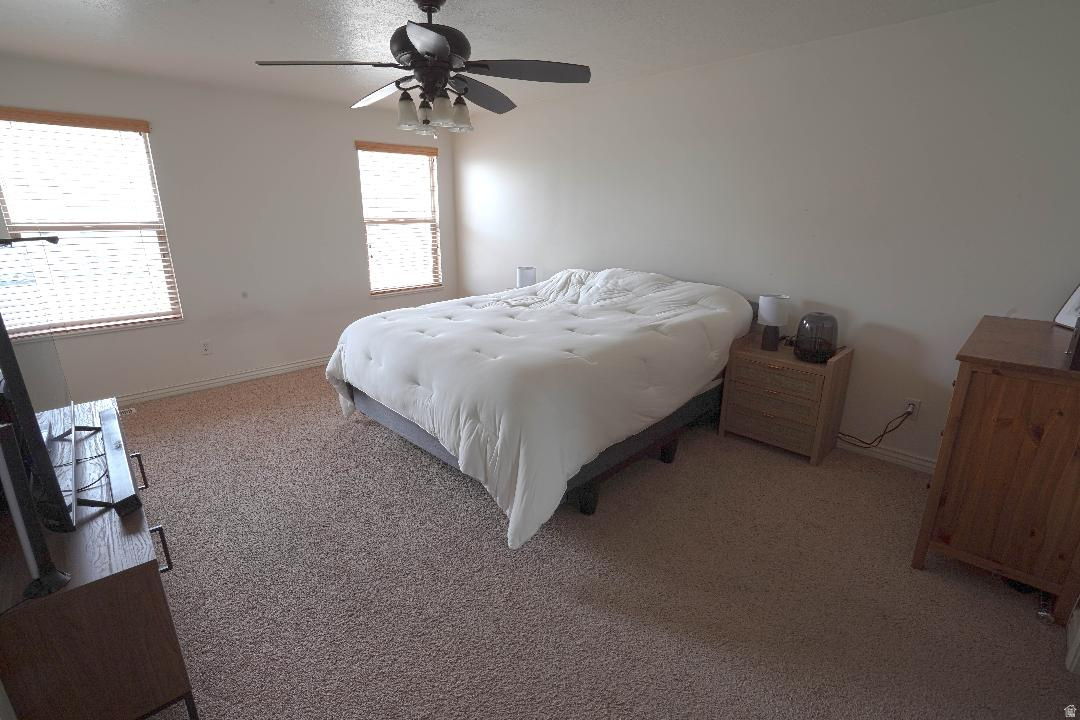 CANTERBURY CROSSING - Residential