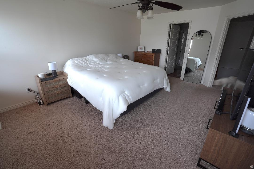 CANTERBURY CROSSING - Residential