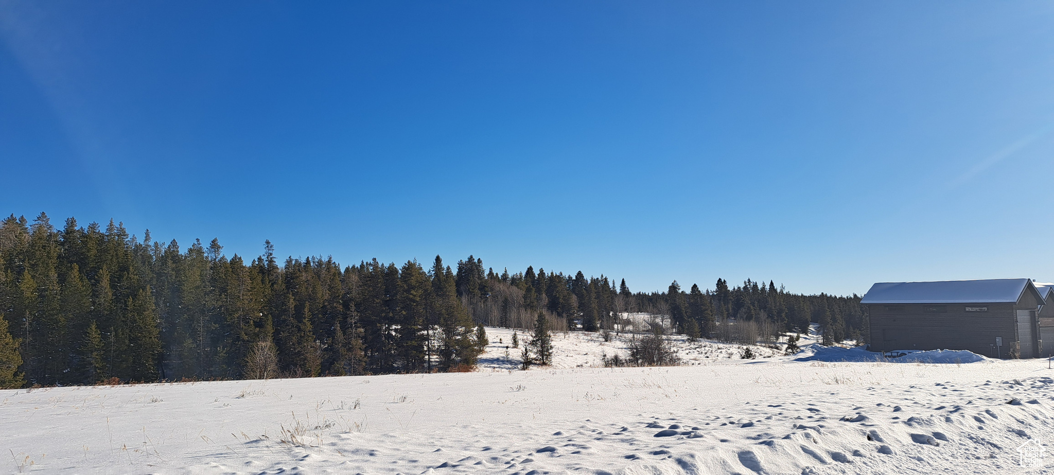 1670 Shadow Loop #13, Ashton, Idaho image 8