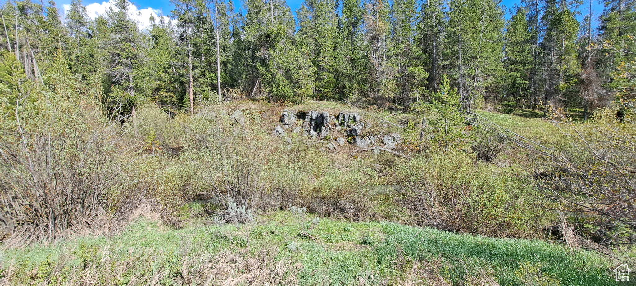 1670 Shadow Loop #13, Ashton, Idaho image 12