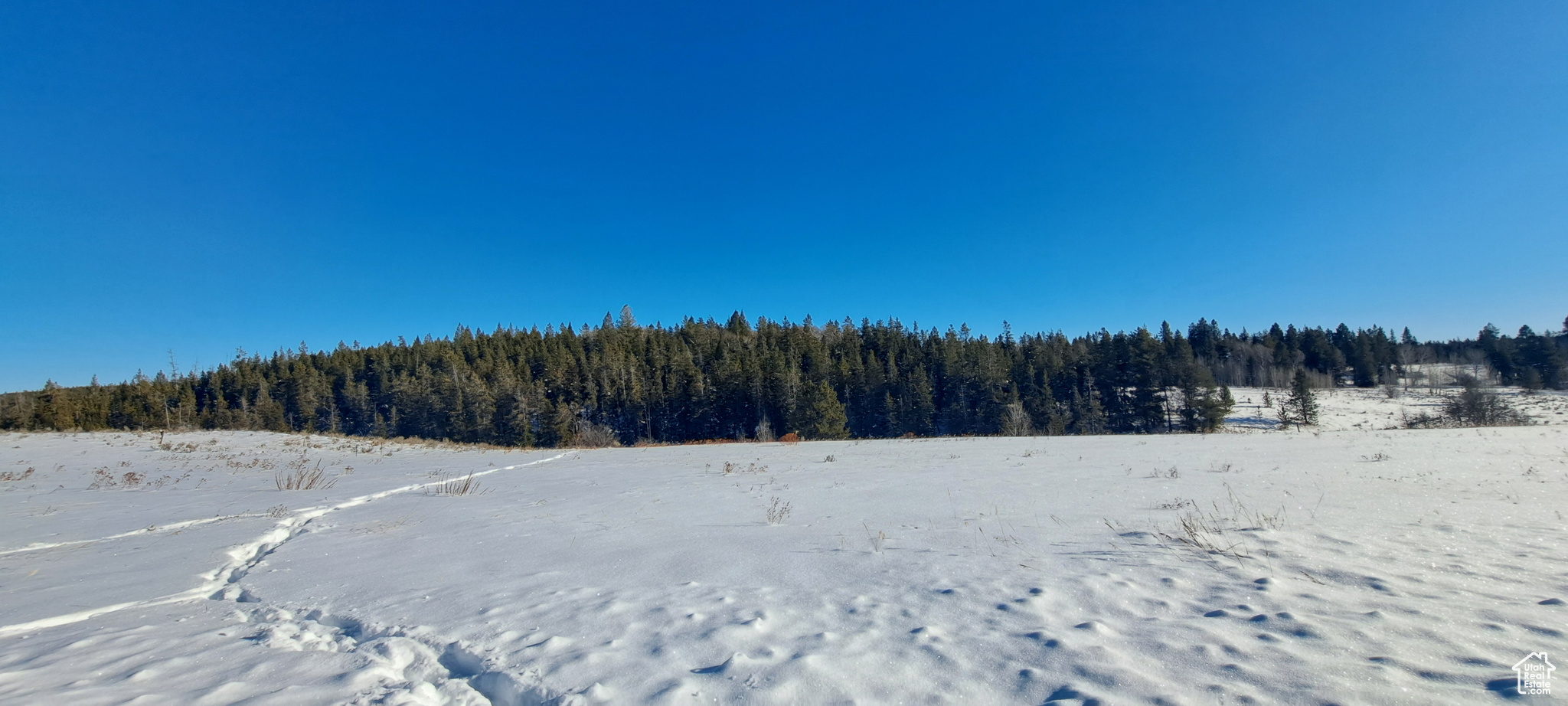 1670 Shadow Loop #13, Ashton, Idaho image 9