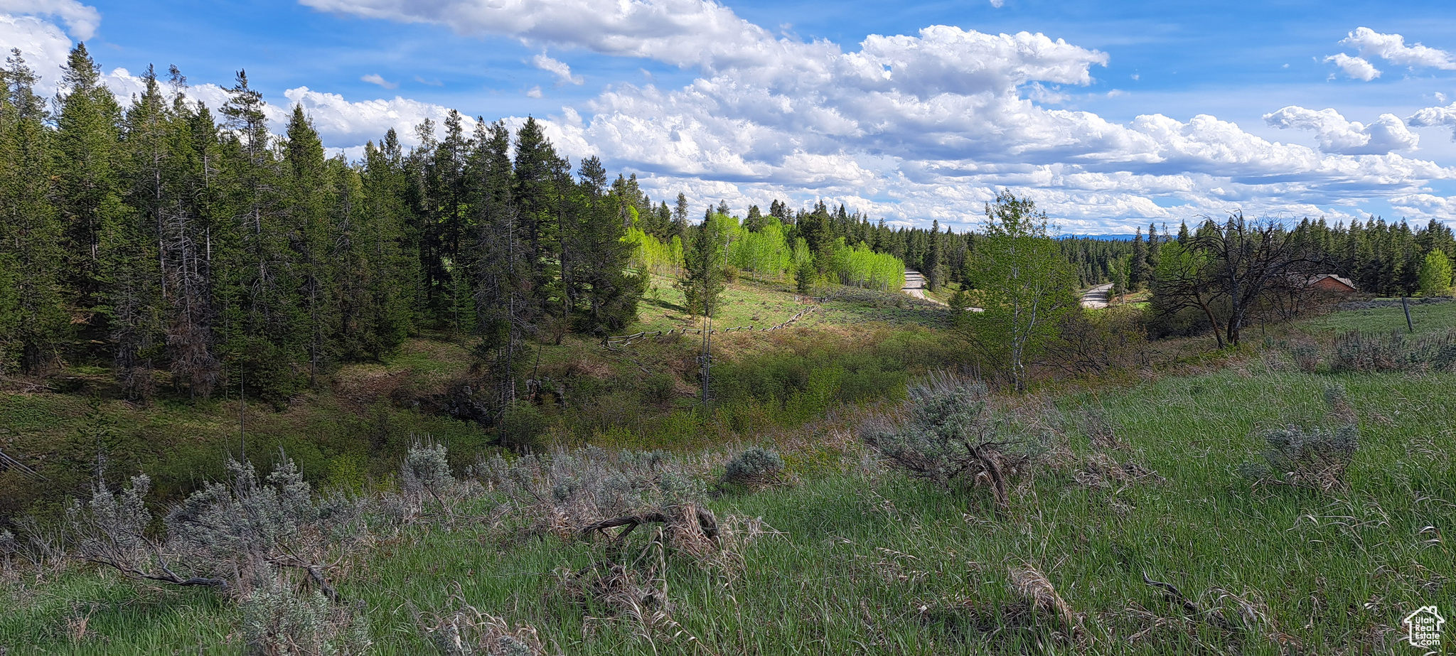 1670 Shadow Loop #13, Ashton, Idaho image 3