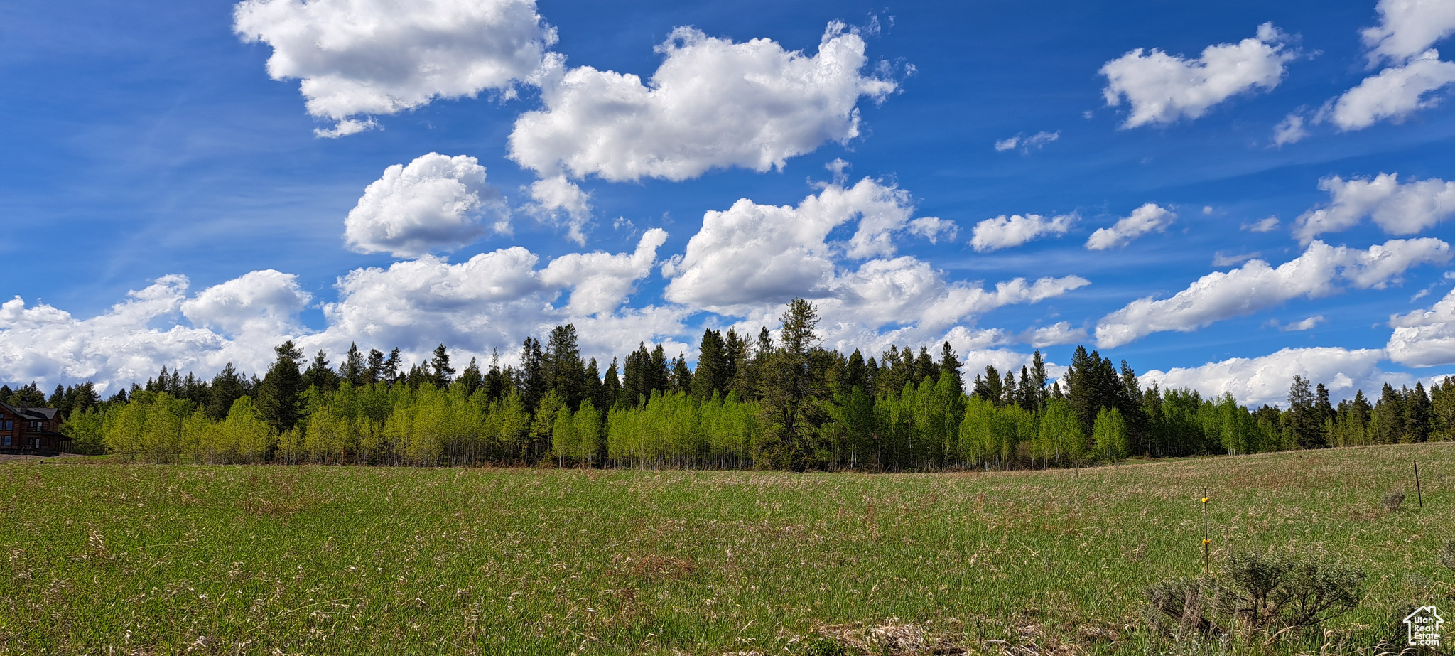 1670 Shadow Loop #13, Ashton, Idaho image 16