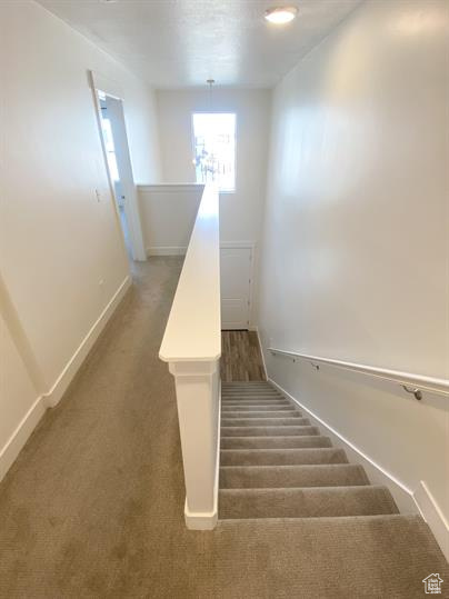 WILLOW POINT - Residential