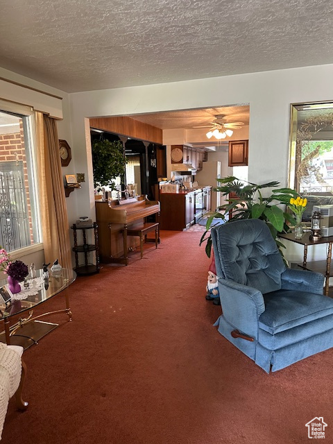 ORIGINAL TOWNSITE - Residential