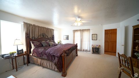Tiny photo for 4551 S 600 E, Torrey, UT 84775 (MLS # 2147394)