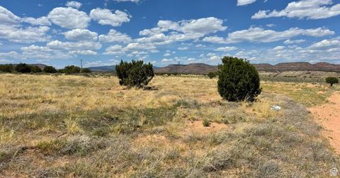 Vacant Land For Sale - #2<br/> Duchesne, UT 84021