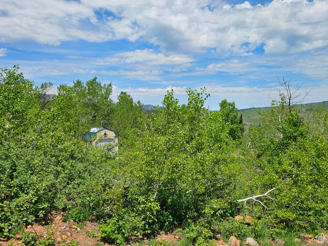 11063 E Chukar Point Dr #H155, Huntsville, Utah image 10