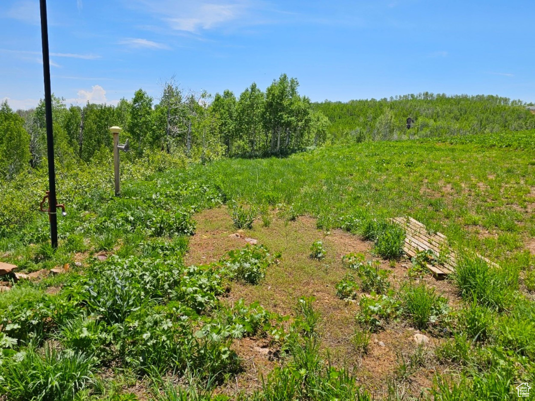 11063 E Chukar Point Dr #H155, Huntsville, Utah image 13