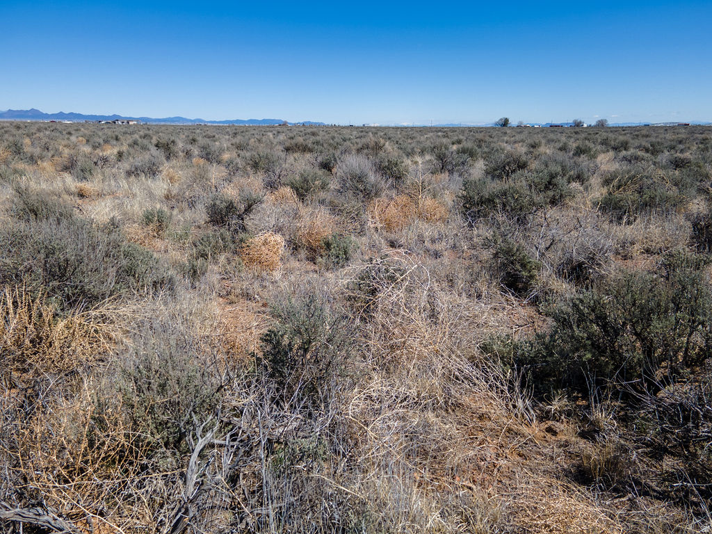 ESCALANTE VALLEY - Land
