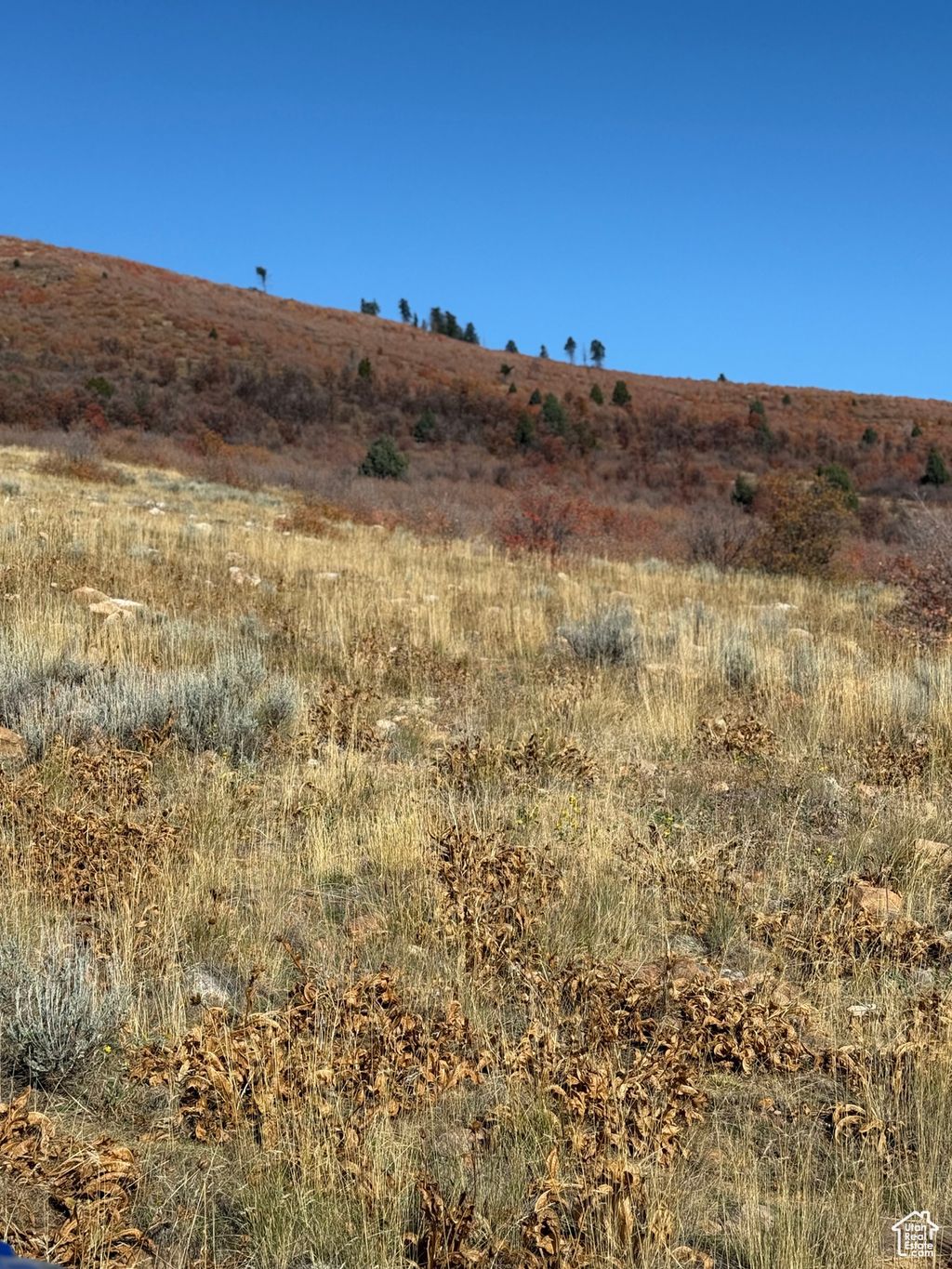 Photo of Preston, ID 83263 (MLS # 2118547)