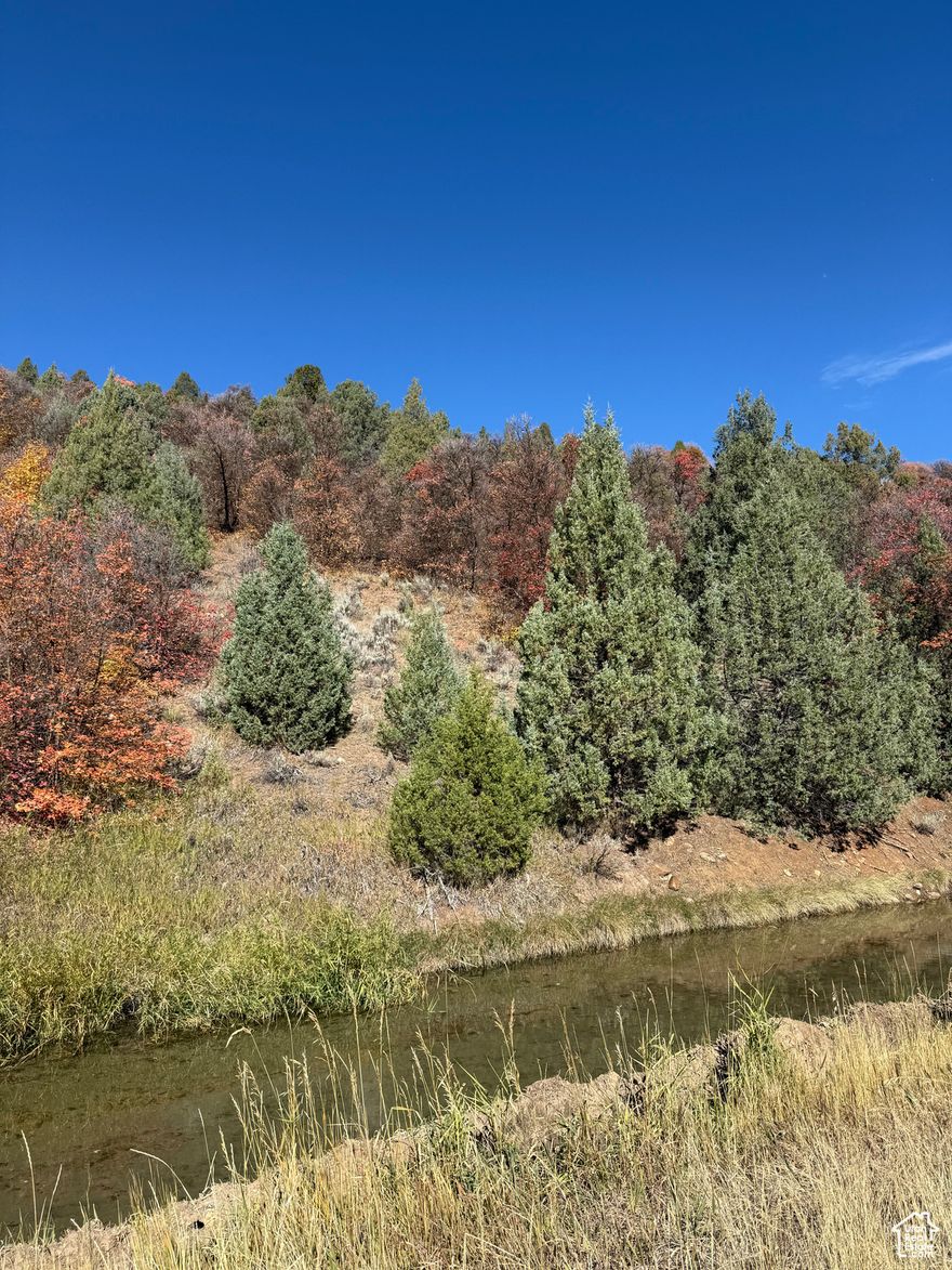 Do you want to own a mountain in gorgeous Cub River?  Here's your chance.  Totally private, incredible views, borders US Forest Service on the north.  The views of the valley and the mountains are unbeatable.  Survey being done now to determine exact points. Hunt, play, get away, surround yourself with space.  This property cannot be subdivided so you are insured privacy.  Raw and untouched.  Some fence.  Be a neighbor to the forest . Private shared driveway in from Cub River Road.  You won't be able to find this kind of property for this price.  Roughly $1750.00 per acre. Call today and see what you need to do to own your own mountain. Traditionally called Deer Mountain.  Make it your own