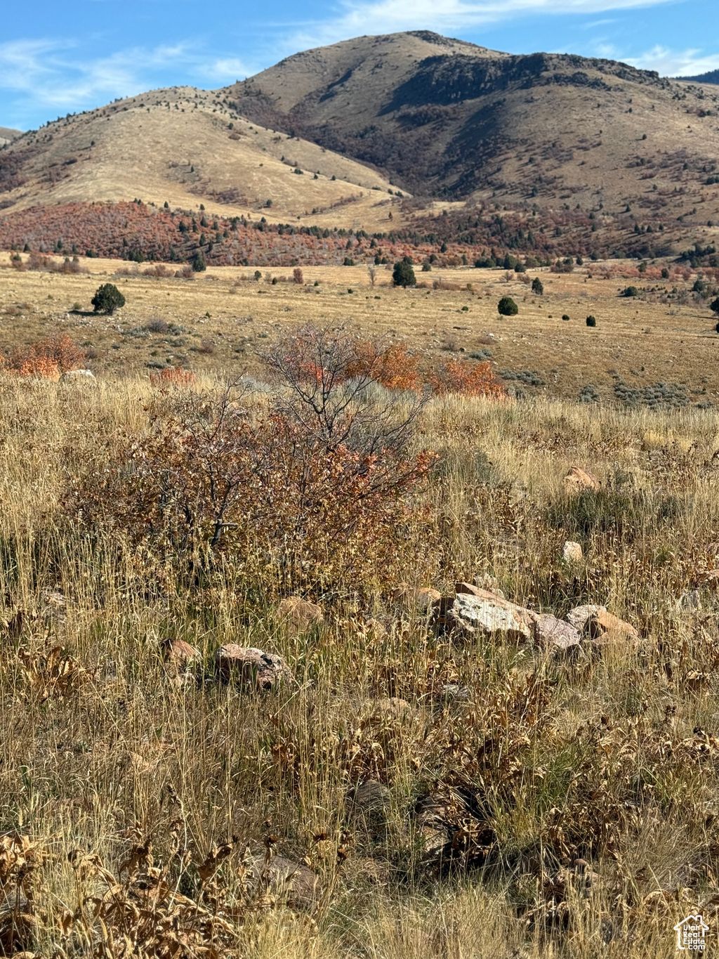 Photo of Preston, ID 83263 (MLS # 2118547)