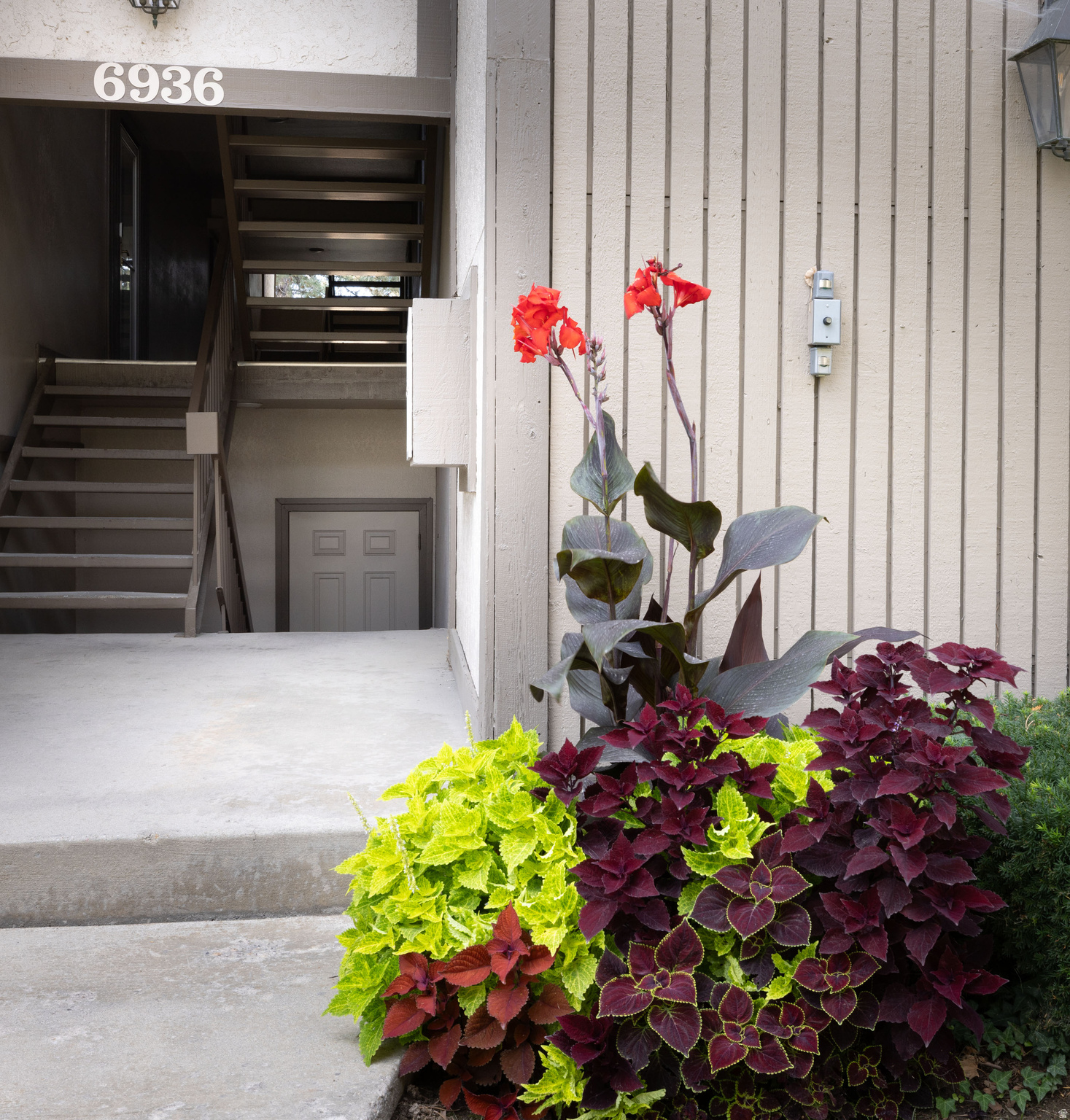 MEADOWS - Residential