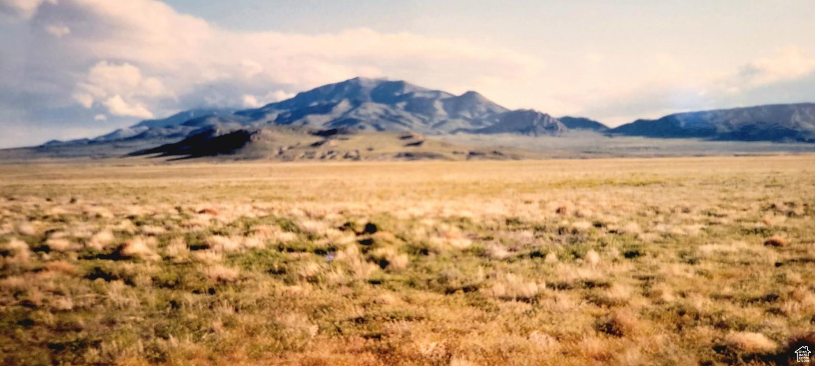 Land, Grouse Creek, Utah image 4