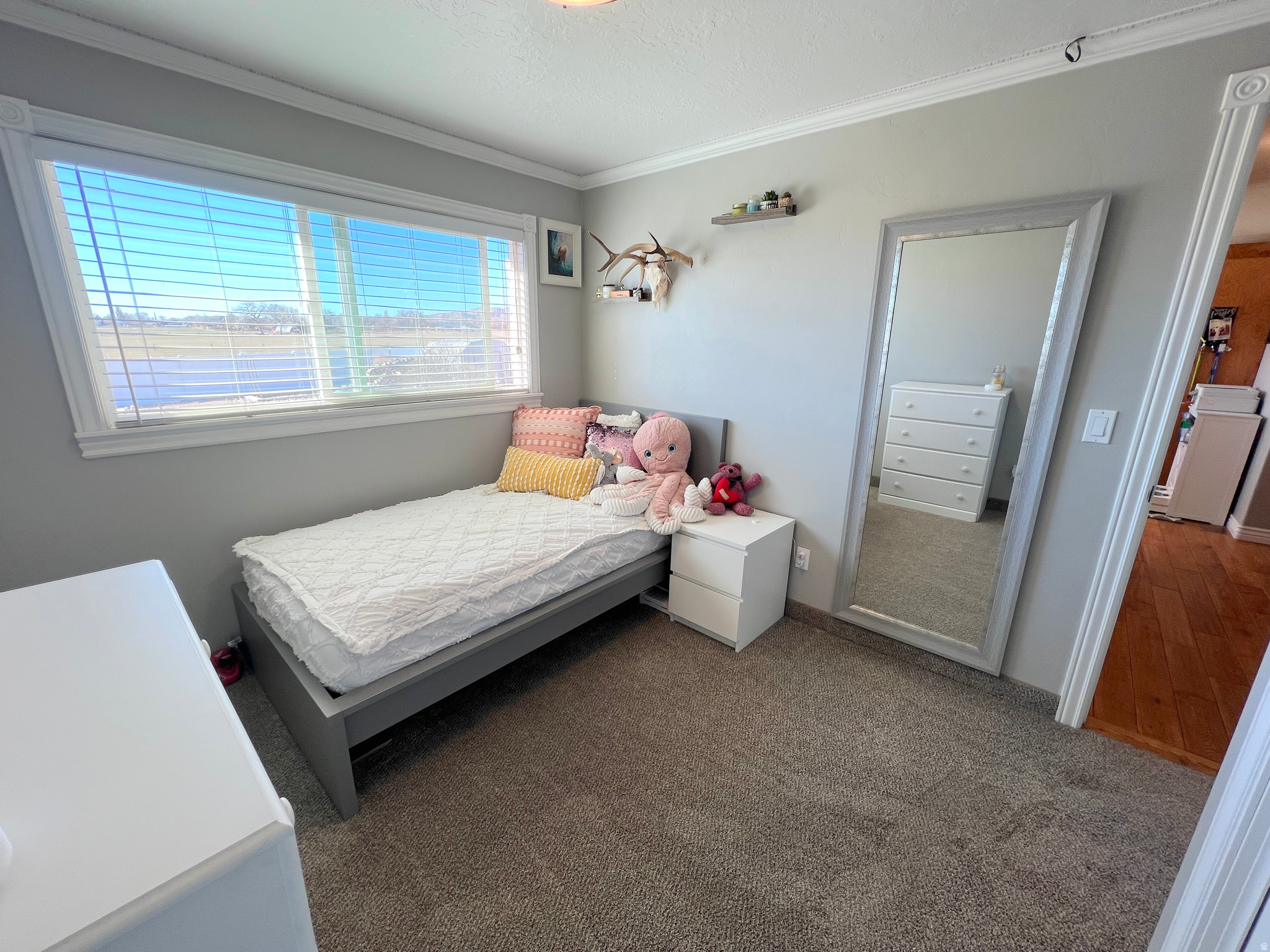 MORRISON SUBDIVISION - Residential