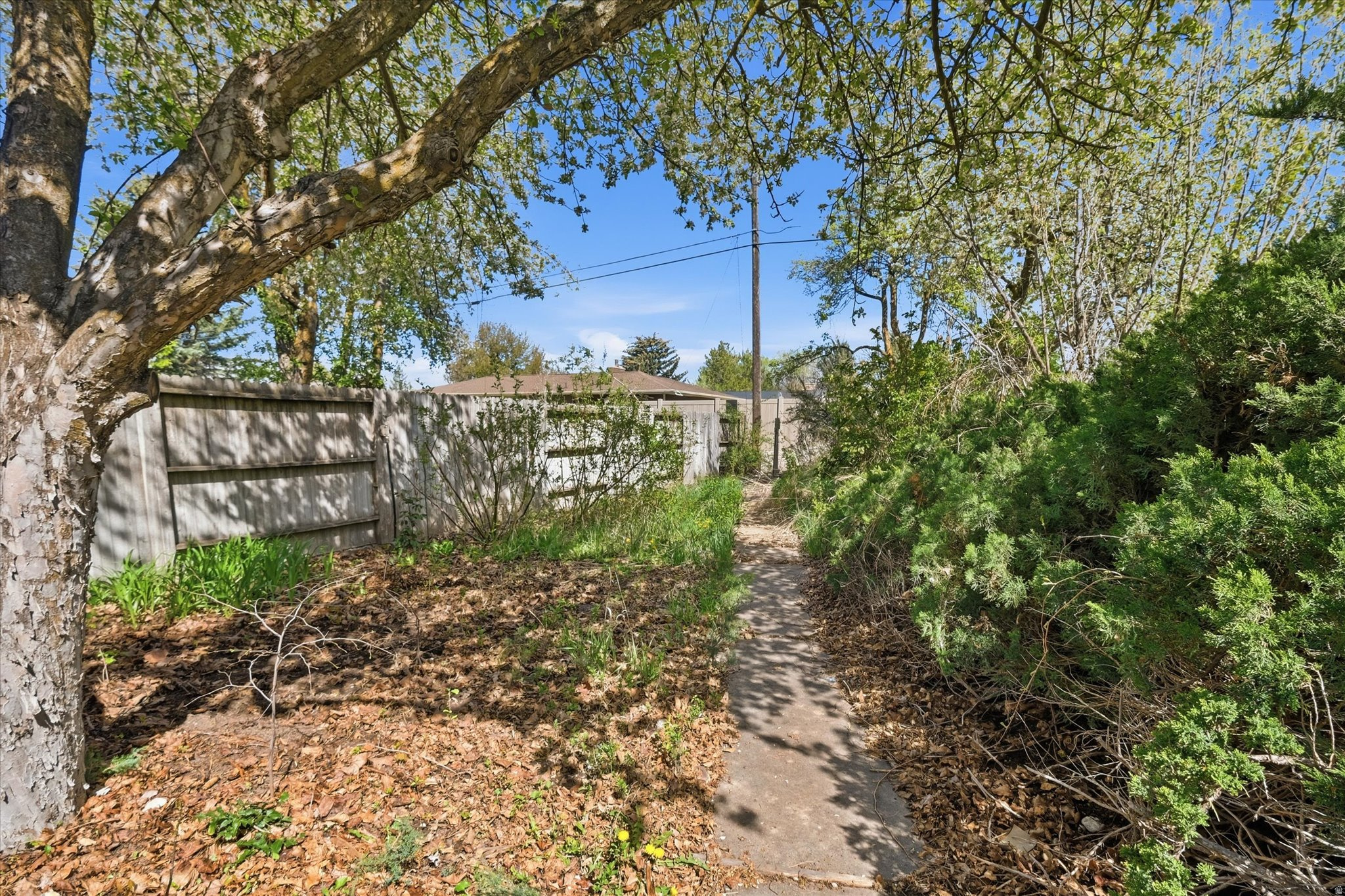 LOGAN LUNDSTROM PARK - Residential