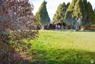 SODA CITY - Residential