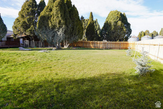 SODA CITY - Residential