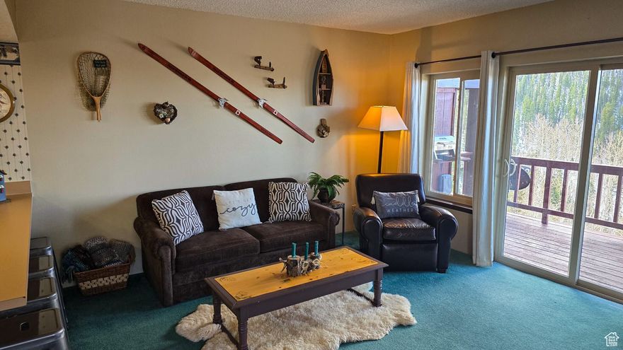 Experience mountain living at its finest with this beautiful ski-in/ski-out condo located in the Tushar Mountains. Nestled in a prime location with direct access to Eagle Point Resort's pristine slopes, this cozy retreat offers the ultimate convenience for winter enthusiasts and year-round adventurers alike. Enjoy stunning alpine views, a warm and inviting interior, perfect for relaxing after a day on the mountain. Whether you're seeking a weekend getaway, investment property, or a full-time mountain escape, this condo delivers unbeatable access to outdoor recreation and the charm of a welcoming mountain community.