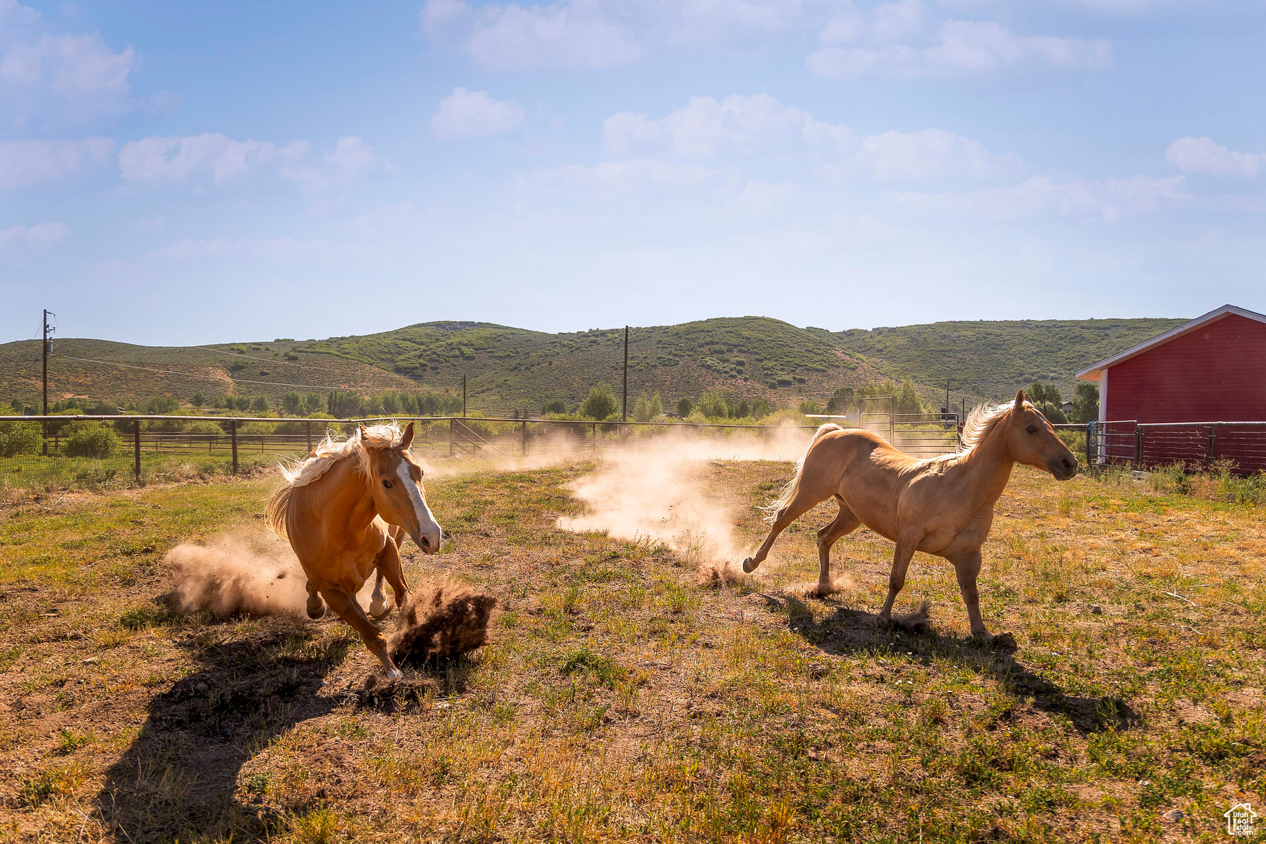 OLD RANCH ROAD - Land