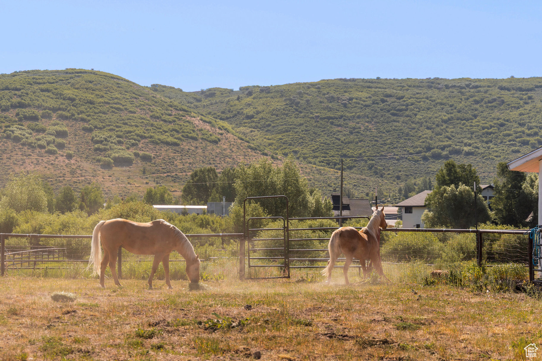 OLD RANCH ROAD - Land