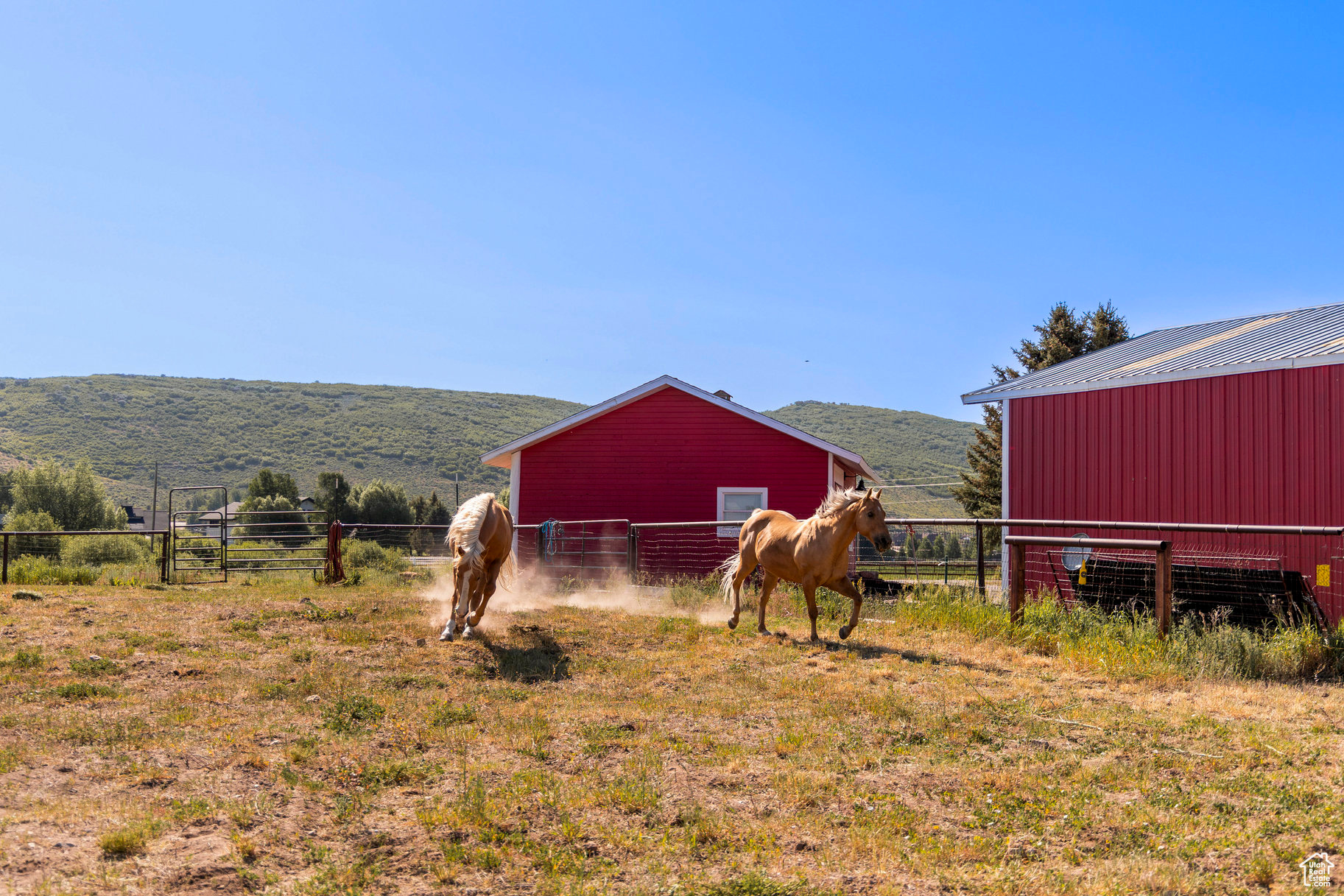 OLD RANCH ROAD - Land