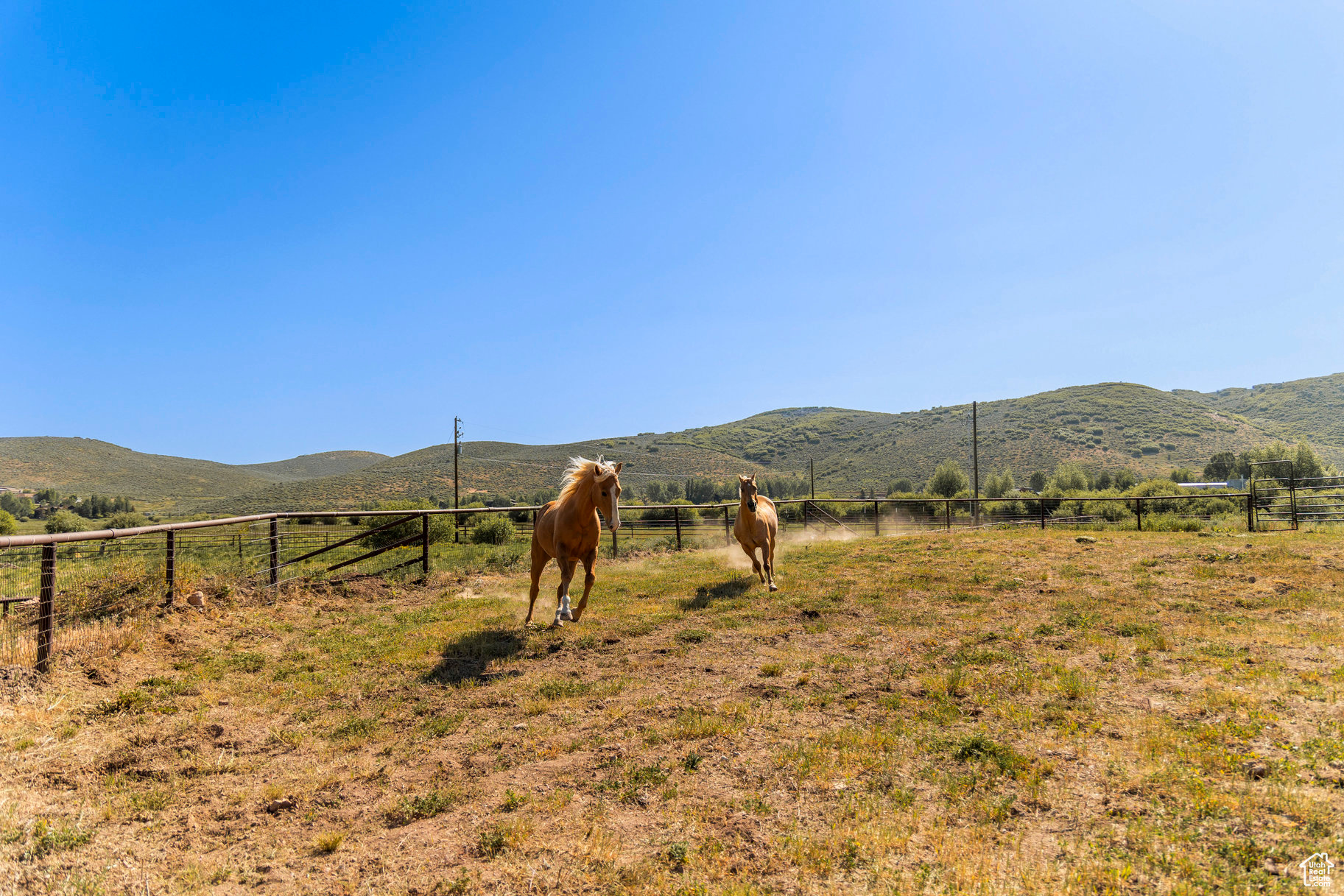 OLD RANCH ROAD - Land
