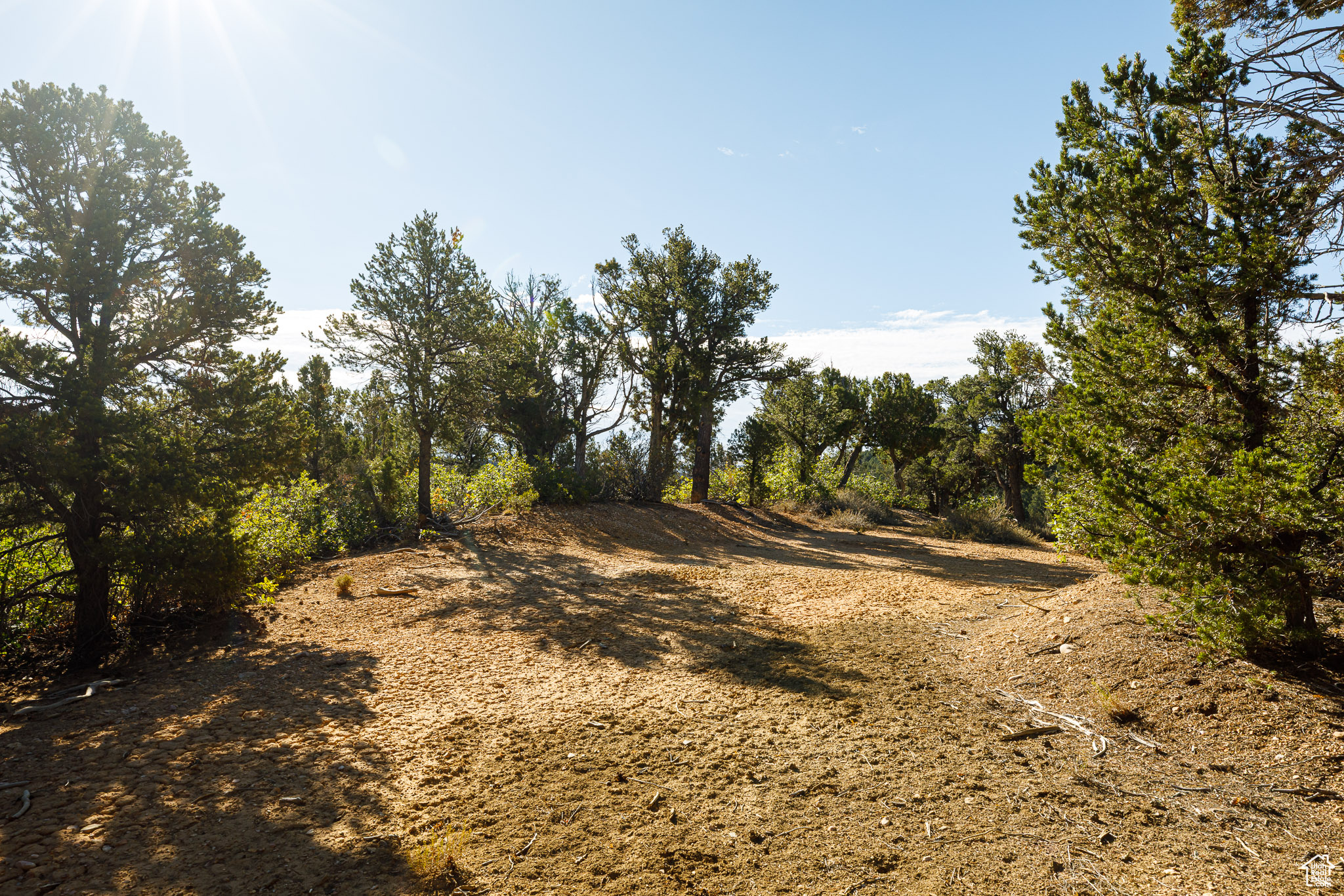 DEER SPRINGS RANCH - Land