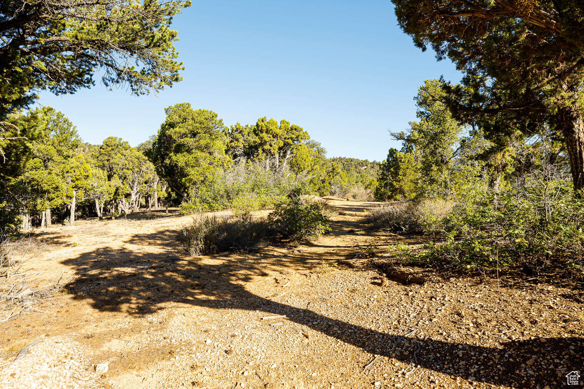 DEER SPRINGS RANCH - Land