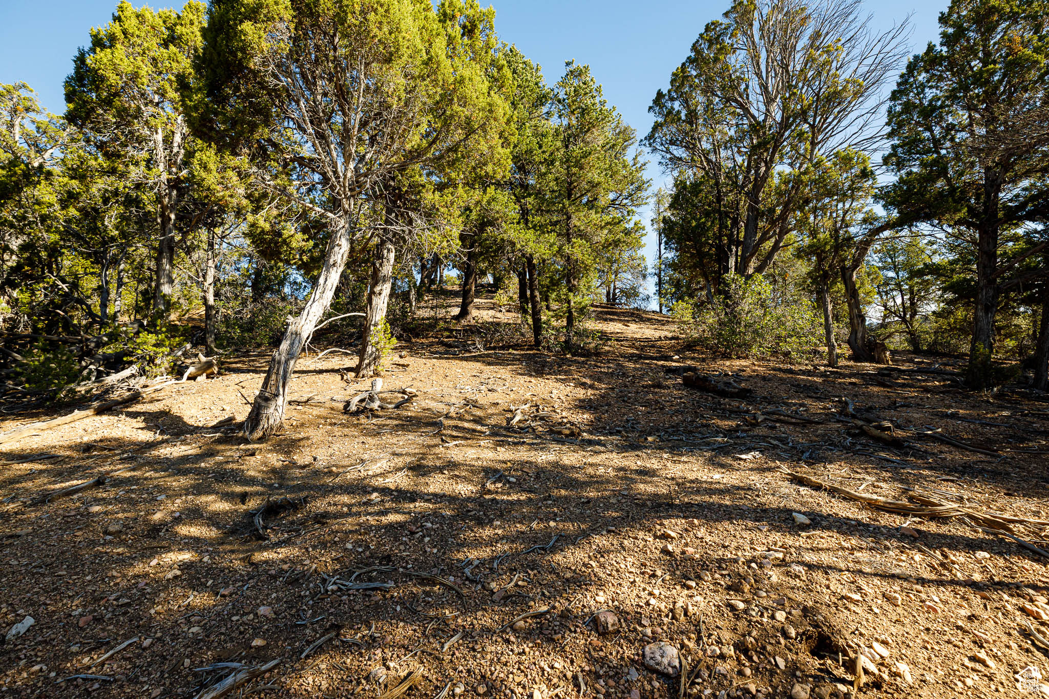 DEER SPRINGS RANCH - Land