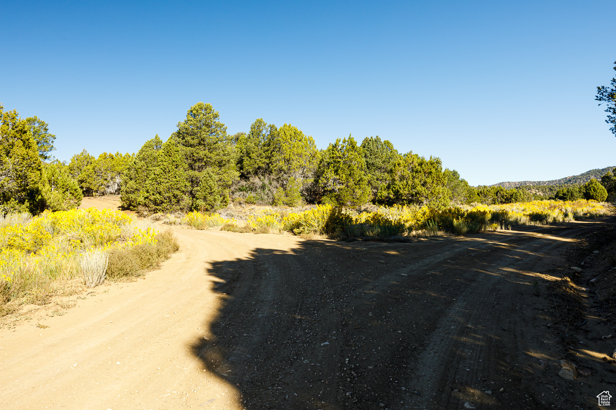 DEER SPRINGS RANCH - Land