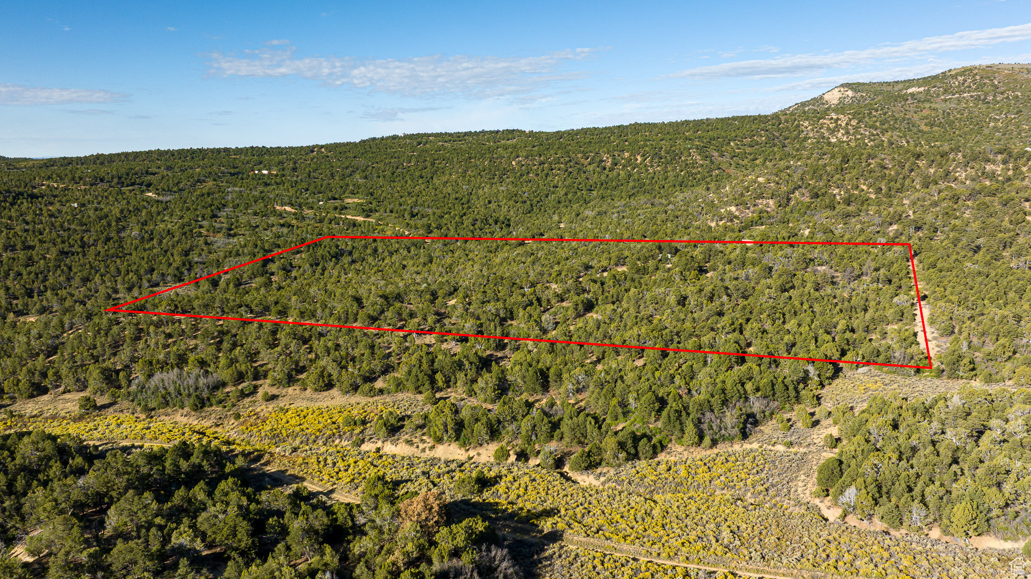 DEER SPRINGS RANCH - Land