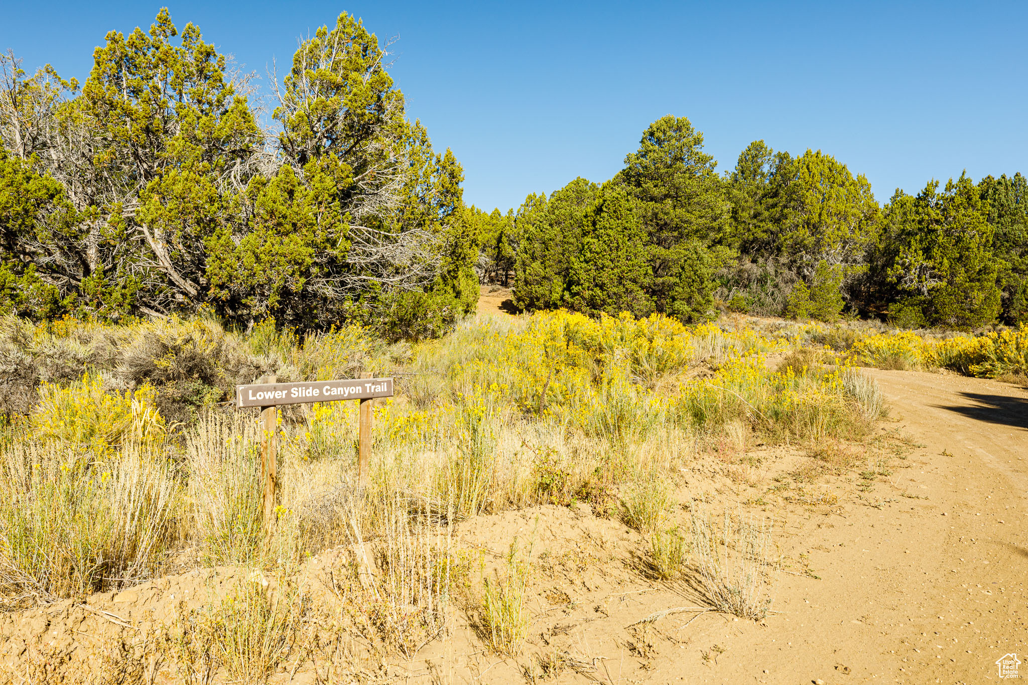 DEER SPRINGS RANCH - Land
