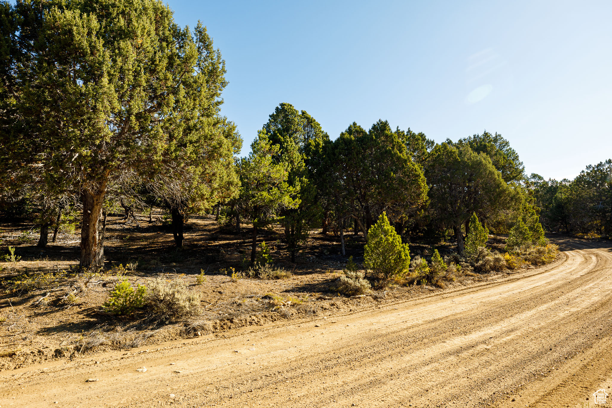 DEER SPRINGS RANCH - Land