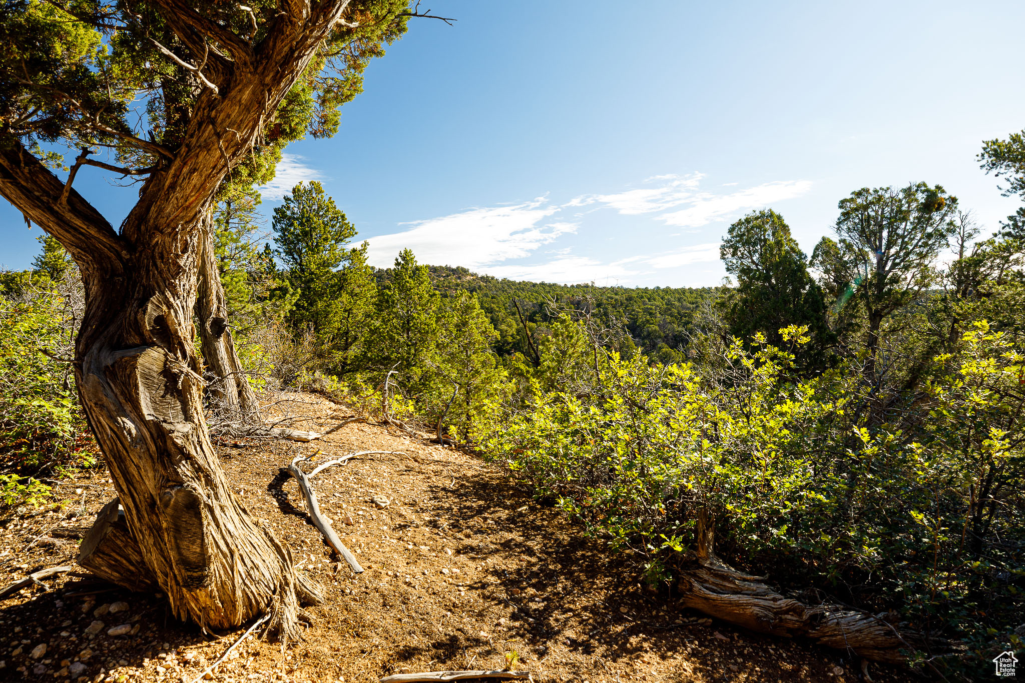 DEER SPRINGS RANCH - Land