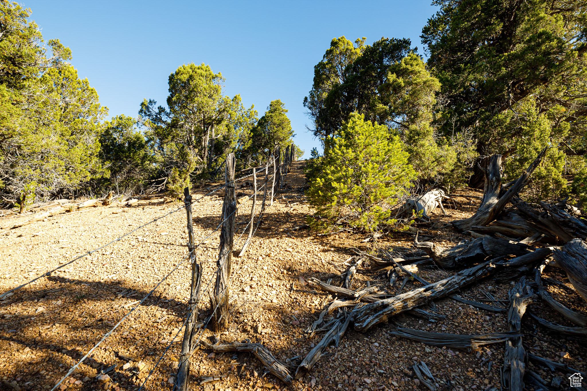 DEER SPRINGS RANCH - Land