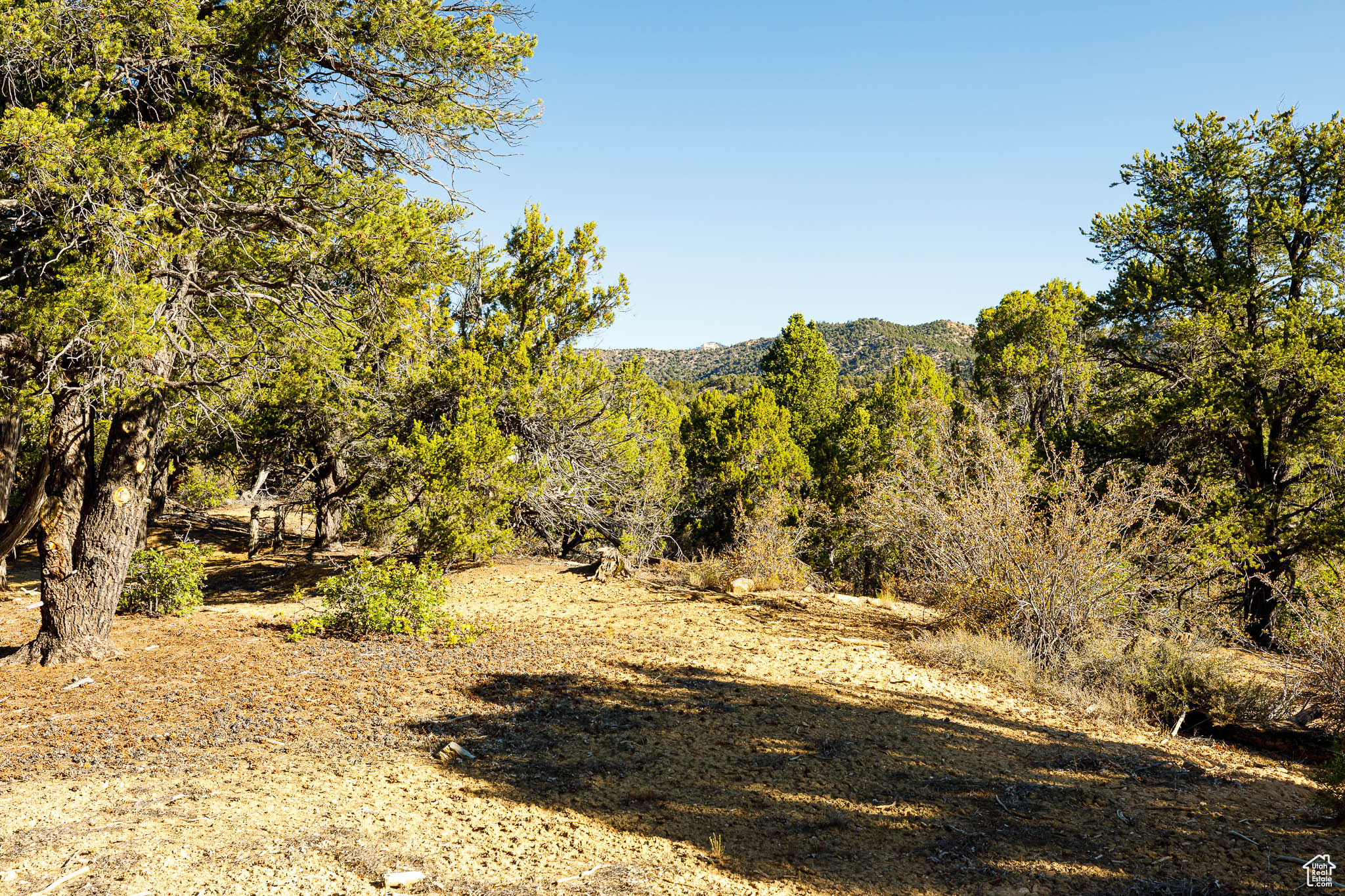 DEER SPRINGS RANCH - Land