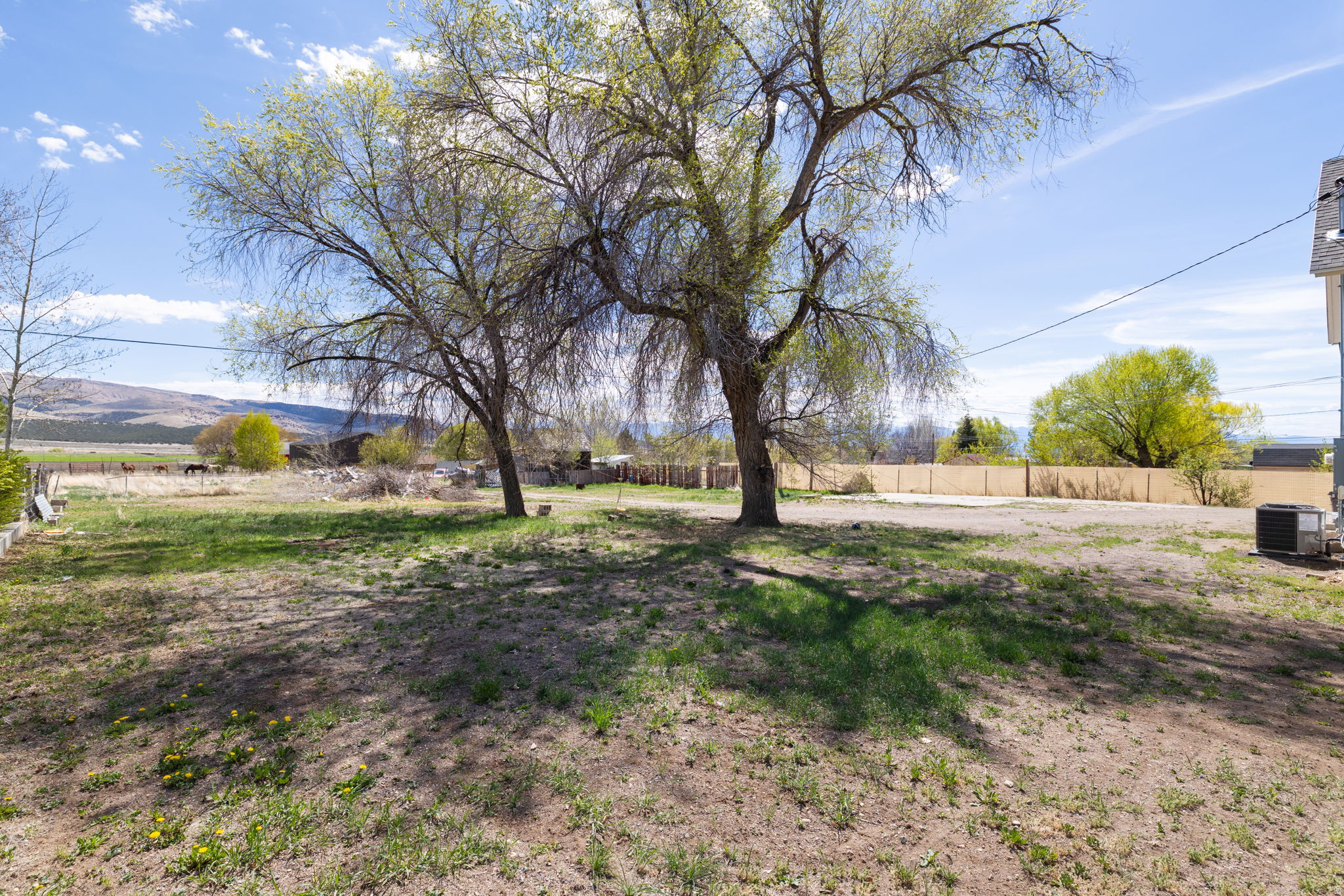 DAILEY MINOR - Residential Lease