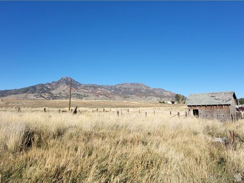 Tiny photo for 5450 W 20400 N, Plymouth, UT 84330 (MLS # 2116489)